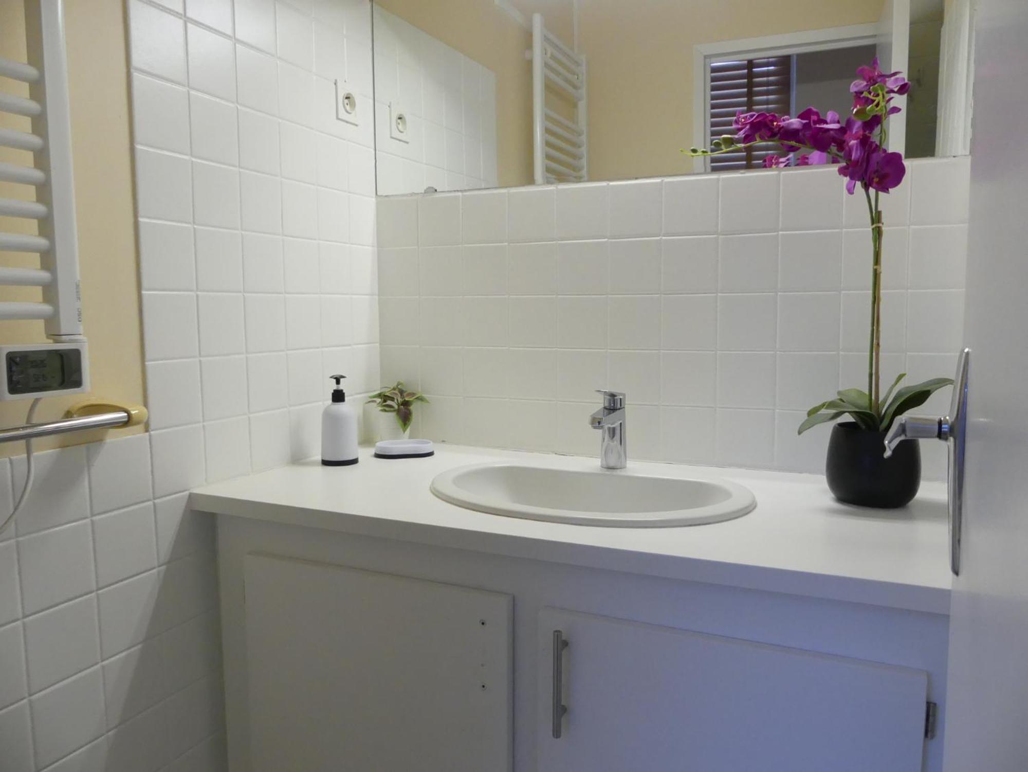 Le Puy De Dome - 1 Chambre - Clim Châtel-Guyon Eksteriør billede