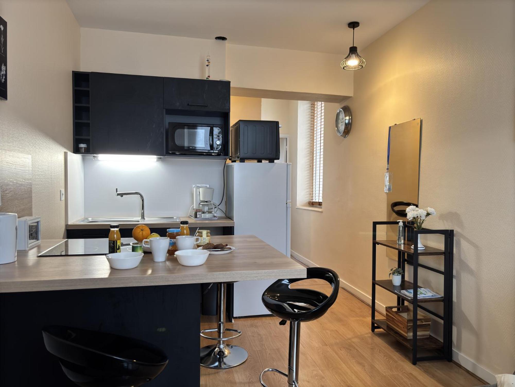 Le Puy De Dome - 1 Chambre - Clim Châtel-Guyon Eksteriør billede