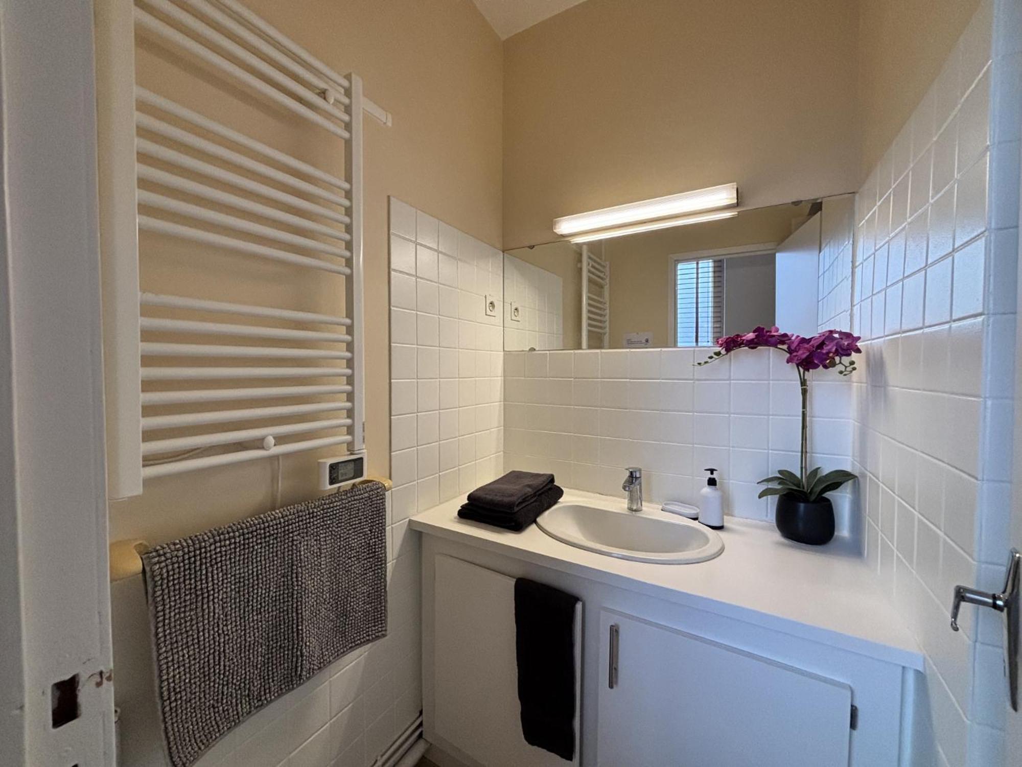 Le Puy De Dome - 1 Chambre - Clim Châtel-Guyon Eksteriør billede