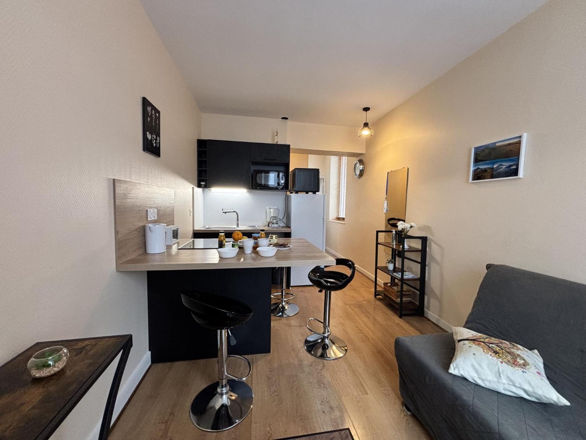 Le Puy De Dome - 1 Chambre - Clim Châtel-Guyon Eksteriør billede