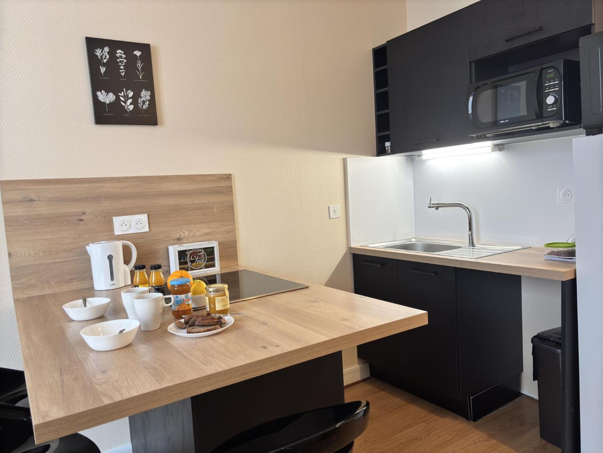 Le Puy De Dome - 1 Chambre - Clim Châtel-Guyon Eksteriør billede